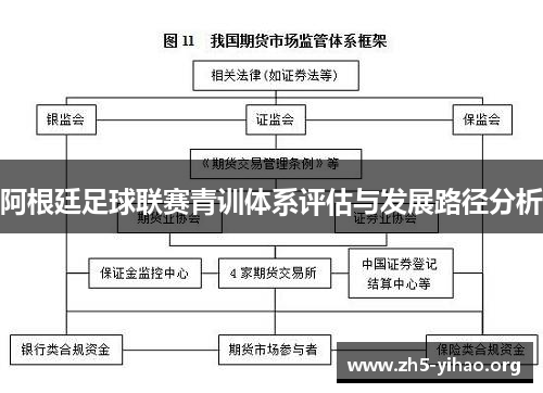 阿根廷足球联赛青训体系评估与发展路径分析