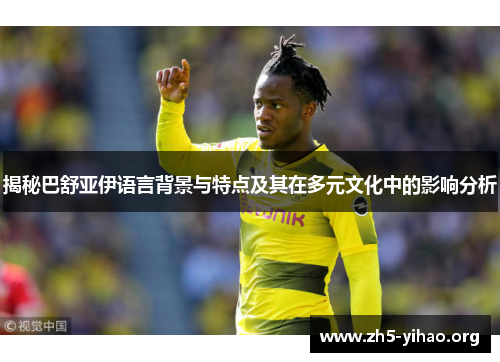 揭秘巴舒亚伊语言背景与特点及其在多元文化中的影响分析